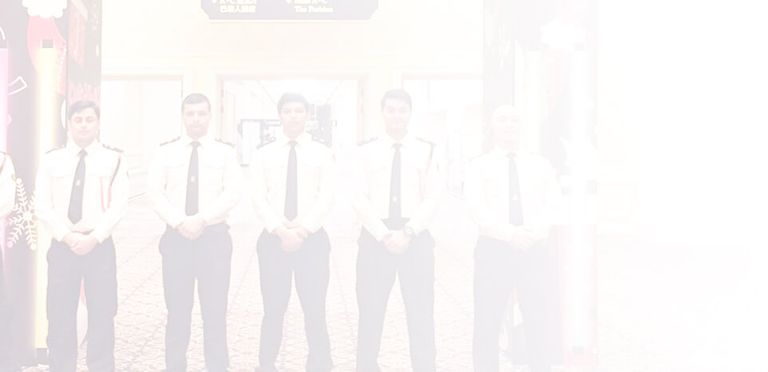 CHON Security team